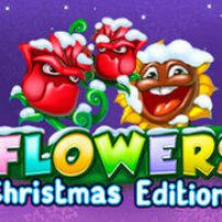 Flowers Christmas Edition