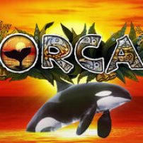 Orca