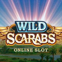 Wild Scarabs